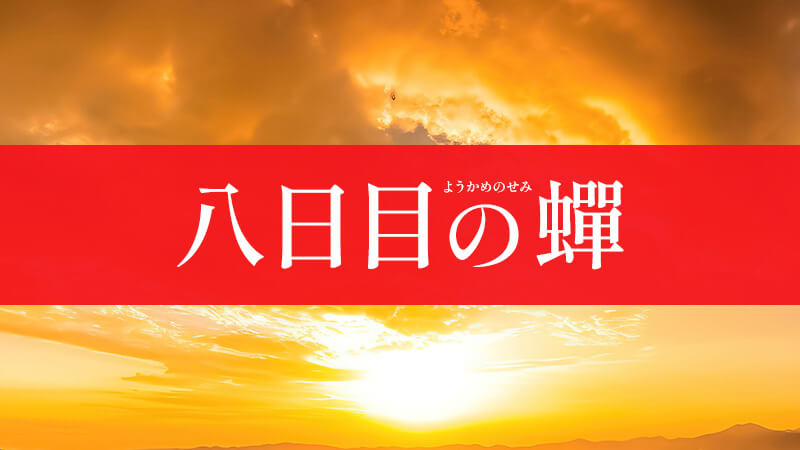 八日目の蟬