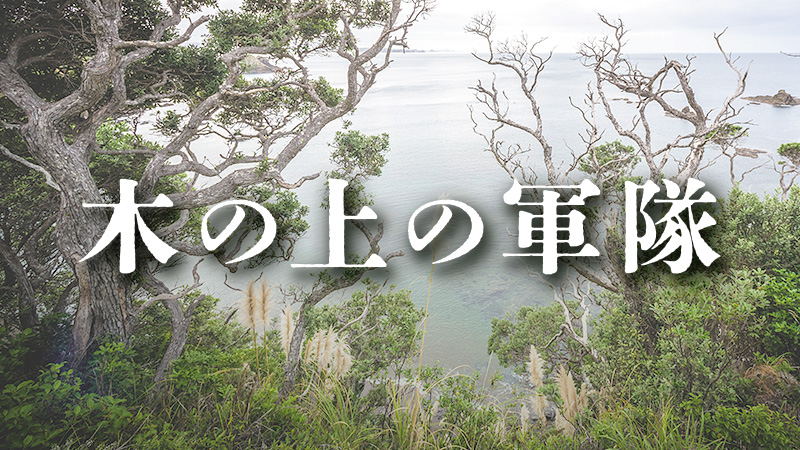 木の上の軍隊 2025.7.25公開