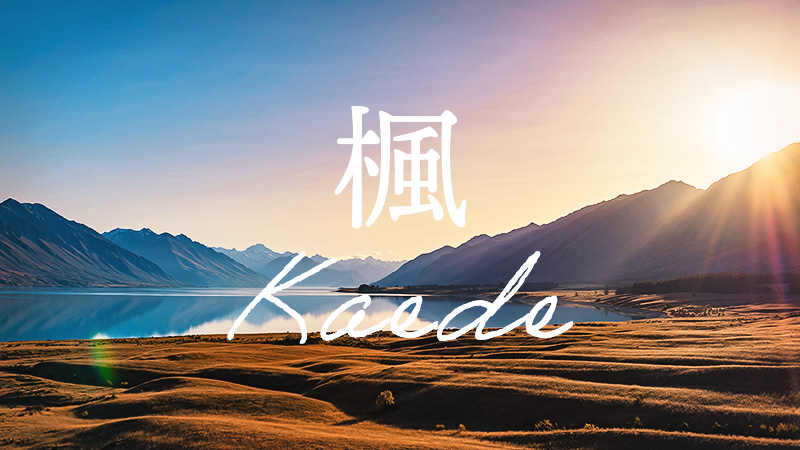 楓 2025.12.19公開